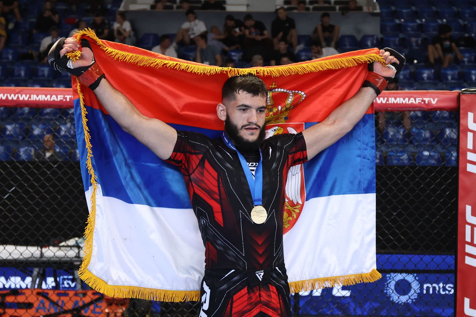 MMA