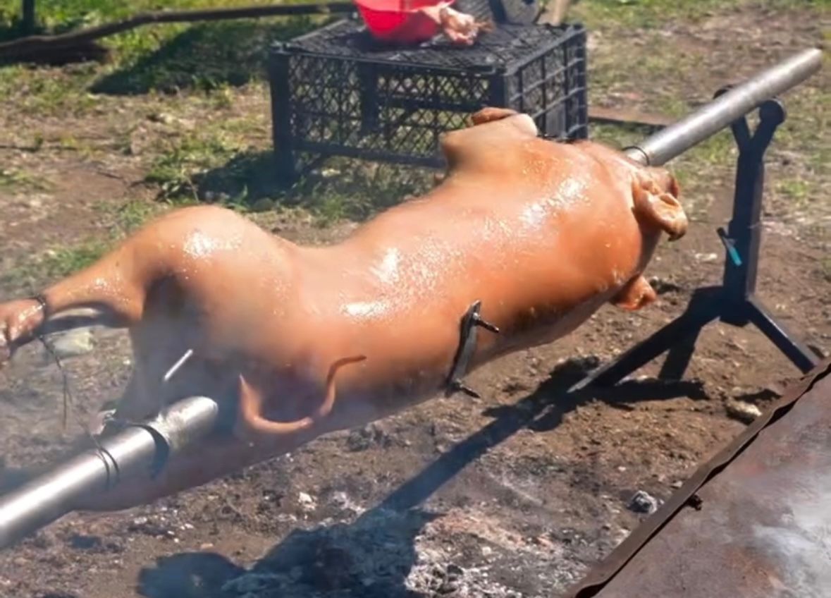Prase na ražnju