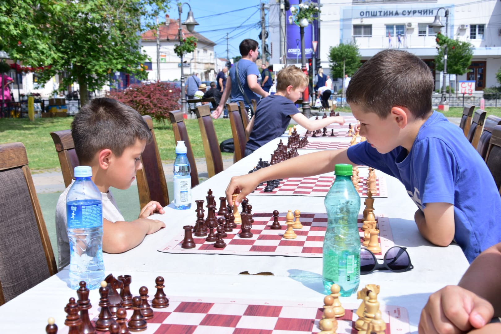 Festival šaha u Surčinu