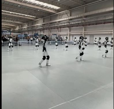 Humanoidni roboti